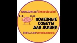 Видео полезные советы Дзен dzen ru themostuseful