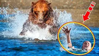 The woman was drowning in the river. Seeing this, the bear did something shocking!