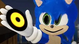 Savage Hedgehog Steals Old Man's Sticker Collection