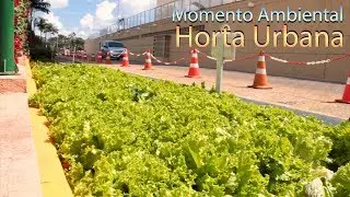 HORTA URBANA - MOMENTO AMBIENTAL