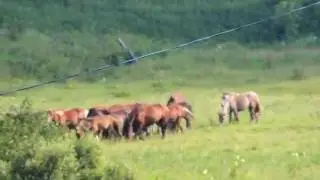 С добрым утром!!!