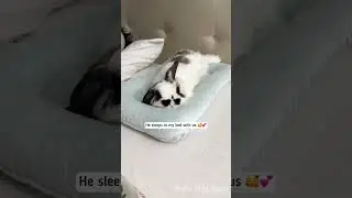 Where does my bunny sleep at night? 🐰🌙