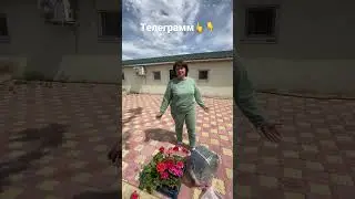 6 дней после операции работаю как вол