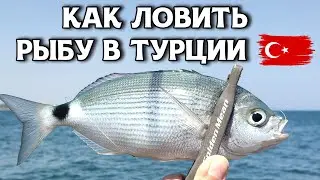 Как ловить рыбу в Турции. Показываю 2 способа. Окатило волной до пояса. Это место кишит рыбой.