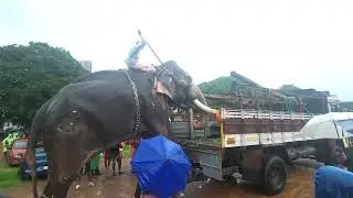 പാപ്പാൻ പാട്ടുപാടി ഉറക്കുന്നവനാ ലോറി കേറി പോയപ്പോൾ 🤣