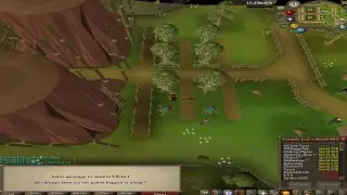 Runescape 1164
