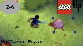 Lego Harry Potter: Years 1-4 DS 100% Guide Part 22: Year 2 Level 6 The Polyjuice Potion