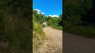 Квадроцикл 