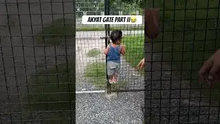 #funny #shorts #shortsvideo #trending #viral #viralvideo
