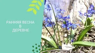Ранней весной в деревне