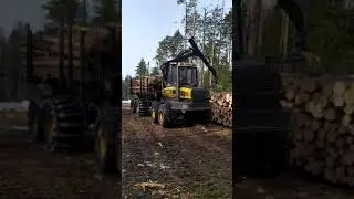 Трелевка леса в штабель