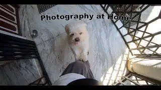Photography at Home during Lockdown