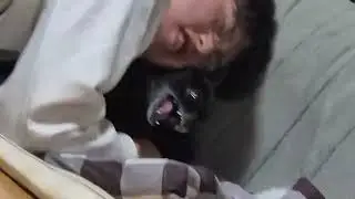 추