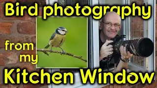Beginners guide - How to photograph birds from a window in your house