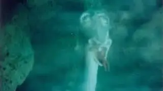 Unexplained Lake Creature Florida(full documentary)HD