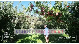 Scarlet spur 2 on m7 with #kunaalchauhan at #Washington #unitedstates @letsGrowApple