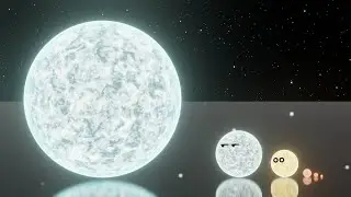 Star Size Comparison | 3D + 2D Animation