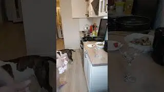 Помидоры и правда очень вкусные😋