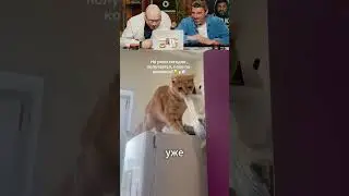 ЗАСМЕЯЛСЯ - ПОДПИСАЛСЯ! Ч.238😅 ПОПРОБУЙ НЕ СМЕЯТЬСЯ!