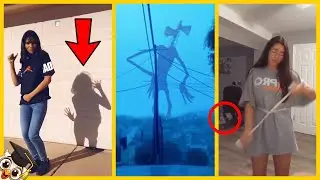 20 Video Di TikTok Da Vedere Prima Che Siano Bannati