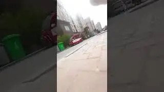 Impossible cat - the last battle 😼