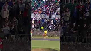 Skill Or Luck? You Decide 🤔 