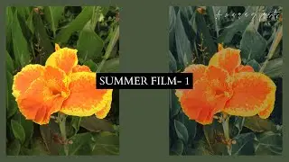 Summer Film-1 | Lightroom tutorial