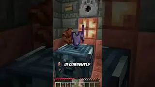 The NEWEST 1.21 BLOCK Is Here! THE VAULT!  