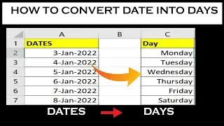Convert Date To Days in Excel  | Formula to Extract Day Name from date in excel