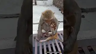 Mother unconditional lov 🤍 #love #mom