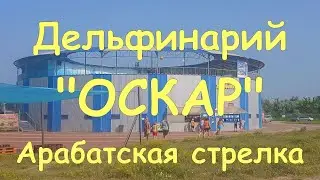 Дельфинарий 