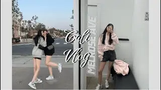 LA & San Diego Vlog | Travel Vlog 2022 | Hiking Hollywood Sign & Kbbq Spots & Shopping | 加州VLOG 02