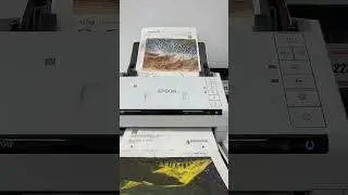 Epson DS-570W: cảnh báo giấy kẹp dính