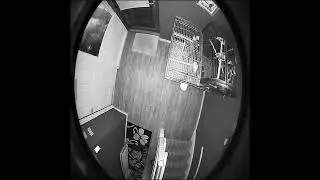 An orb is a transparent ball of light energy that is connected to spirits. Orbs can be spotted vide