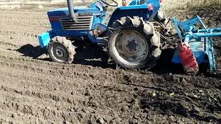 Garlic planting and preparatory work. Season 2019-2020.