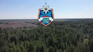 Меры безопасности в лесу