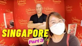Singapore Food & Travel (Part 3) | Bang Salunga