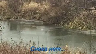 Природа села Берёзово, Шиловский район