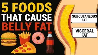 5 foods that causes belly fat | Visceral fat causes | How stress causes belly fat? | Health Flavour