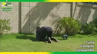 Treinamento de Goleiro - Treinando Sozinho