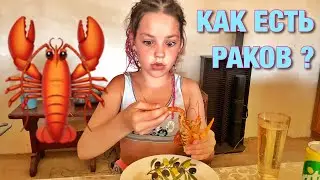 Как правильно есть раков? Обзор от Маша Дарк