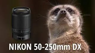 NIKON 50-250mm f/4.5-6.3 VR - REVIEW
