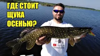 Where to look for pike in a new location in a small river in autumn?