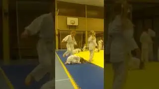 2017-2018 - Groep 1/2 A - Judolessen