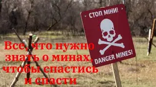 Все, что нужно знать о минах, чтобы спастись и спасти.