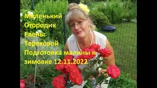 Маленький Огородик Елены Тереховой -  Подготовка малины к зимовке 12.11.2022