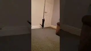 О, привет человек