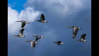Pulling Together