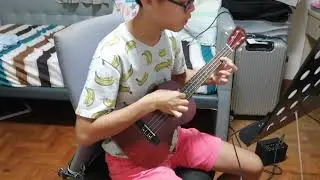 Senorita - Shawn Mendes/Camila Cabello Ukulele Fingerstyle