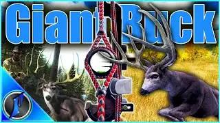 When a GIANT Mule Deer Runs Right Into Bow Range!